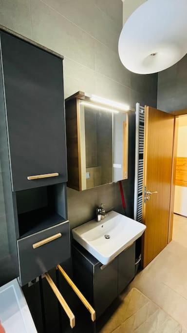 Appartement Holesovice, Garden, Garage *
